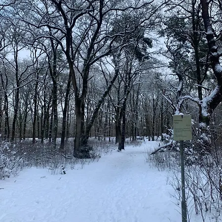 De Wollige Hooglander: In Comfort Middenin *