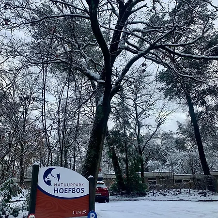 De Wollige Hooglander: In Comfort Middenin 度假居 欧特罗