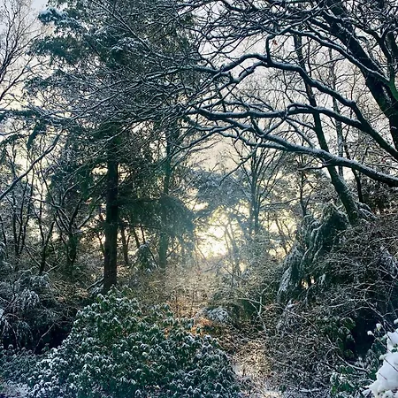 De Wollige Hooglander: In Comfort Middenin Tatil Evi Otterlo