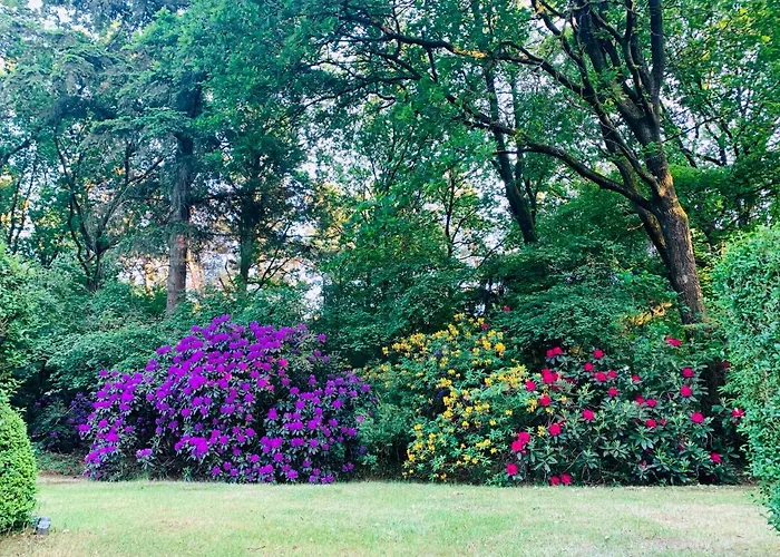 De Wollige Hooglander: In Comfort Middenin Tatil Evi Otterlo