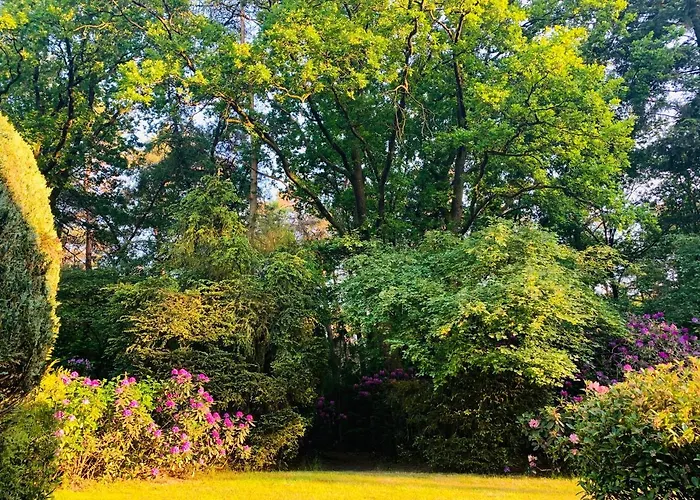 Dom wakacyjny De Wollige Hooglander: In Comfort Middenin