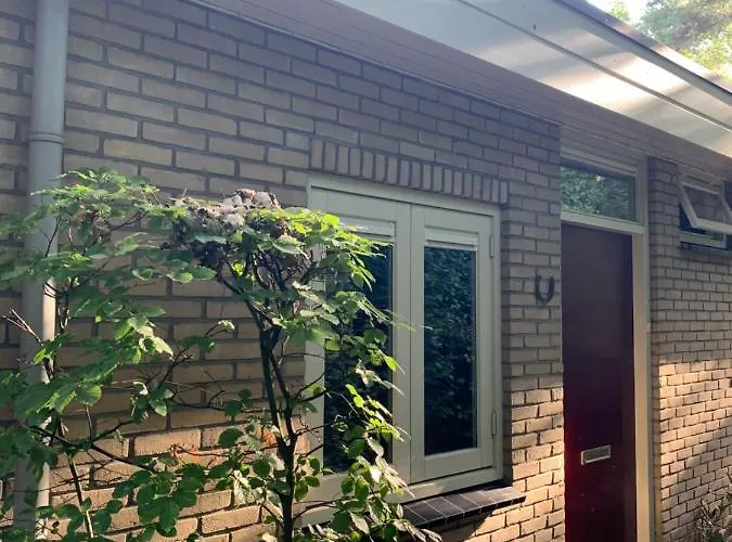 De Wollige Hooglander: In Comfort Middenin Tatil Evi