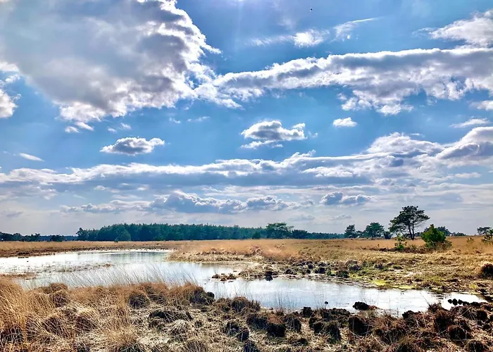 Tatil Evi De Wollige Hooglander: In Comfort Middenin