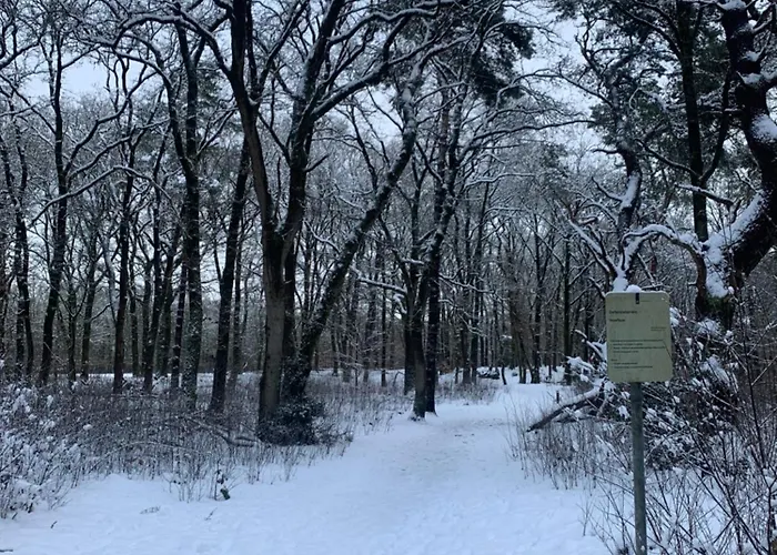 De Wollige Hooglander: In Comfort Middenin *