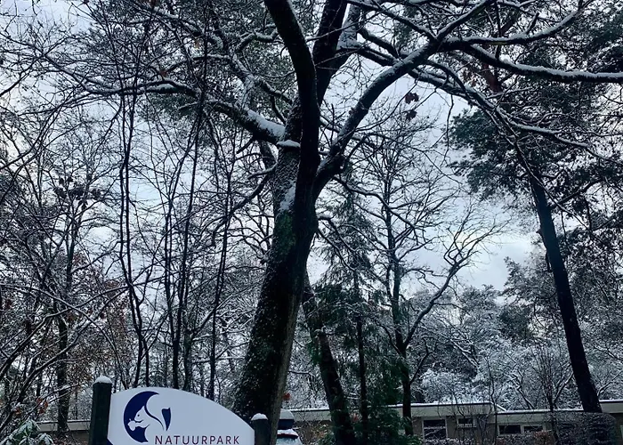 De Wollige Hooglander: In Comfort Middenin Tatil Evi Otterlo