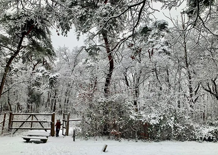 Tatil Evi De Wollige Hooglander: In Comfort Middenin *