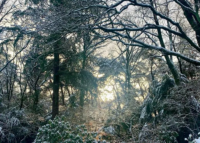 De Wollige Hooglander: In Comfort Middenin 度假居 欧特罗