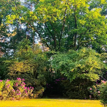 Vakantiehuis De Wollige Hooglander: In Comfort Middenin