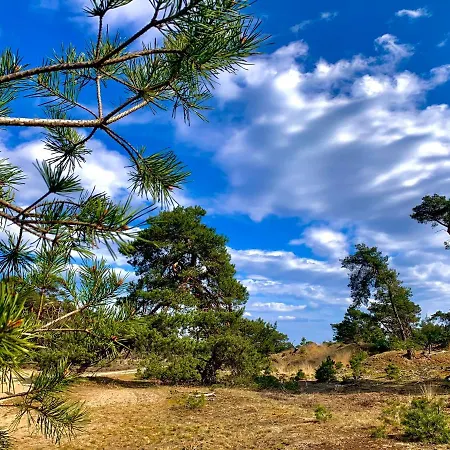 De Wollige Hooglander: In Comfort Middenin * אוטרלו