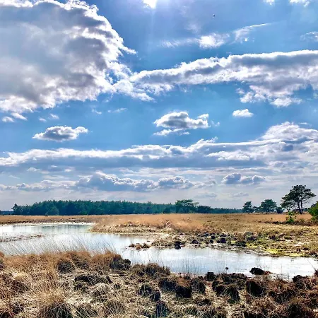 Vakantiehuis De Wollige Hooglander: In Comfort Middenin